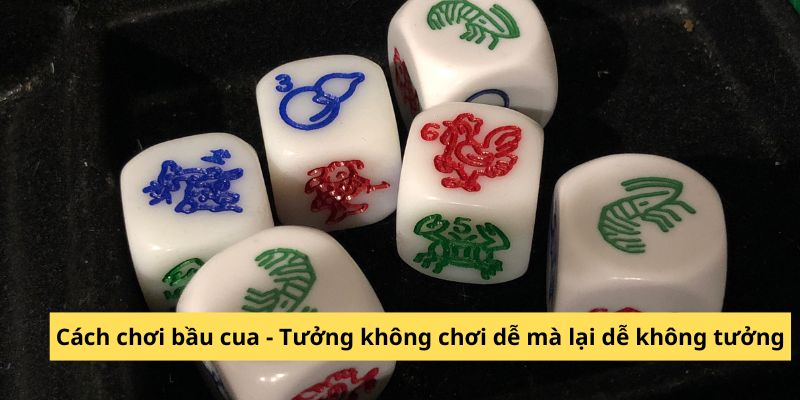 Cách chơi bầu cua